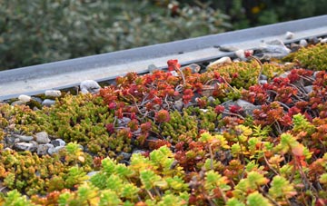 the cost of Eyke green roof installation