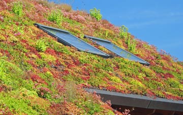 Eyke living roof systems