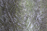 Eyke fibreglass roof work